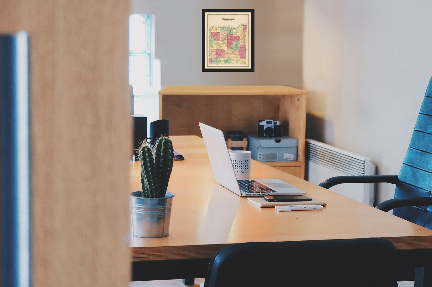 Historic City Map - Williamson New York - Beers 1874 - Vintage Wall Art