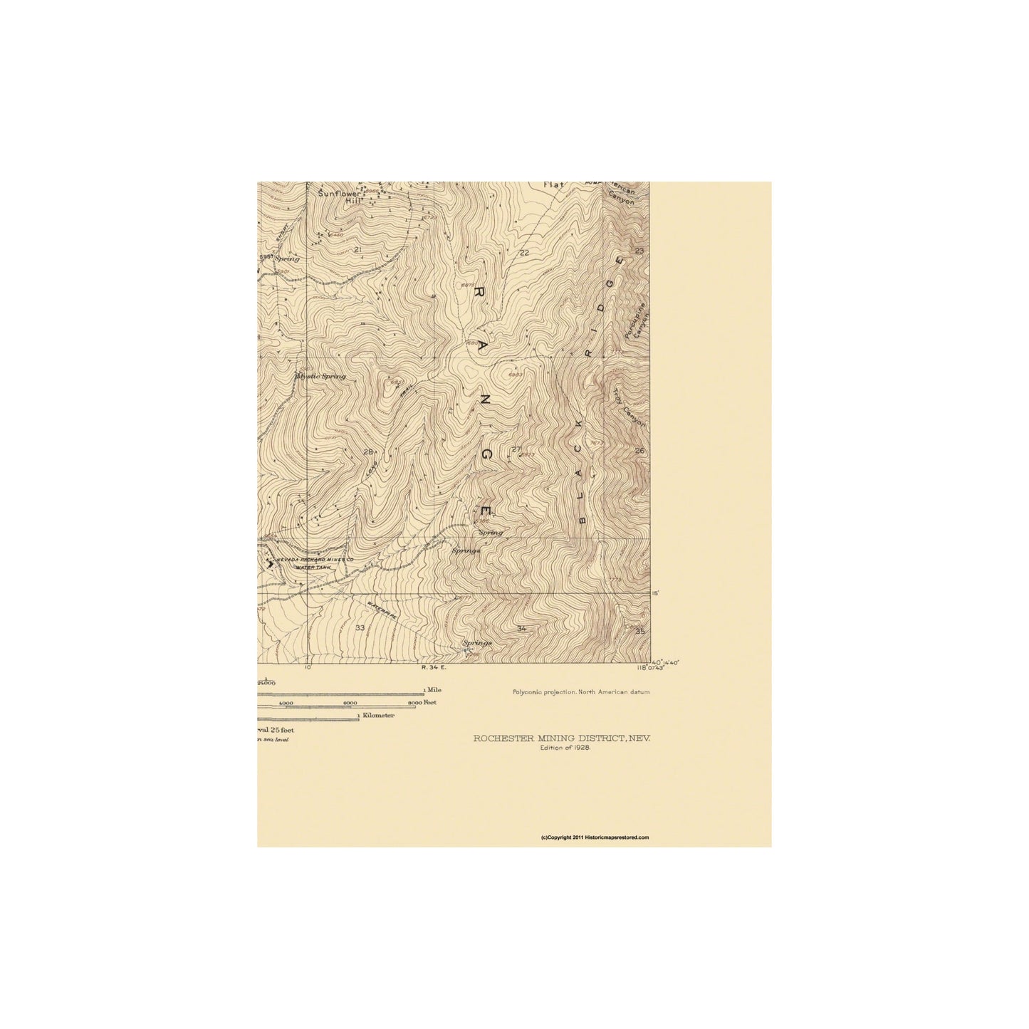 Topographical Map - Rochester Mining Nevada - USGS 1928 - Vintage Wall Art