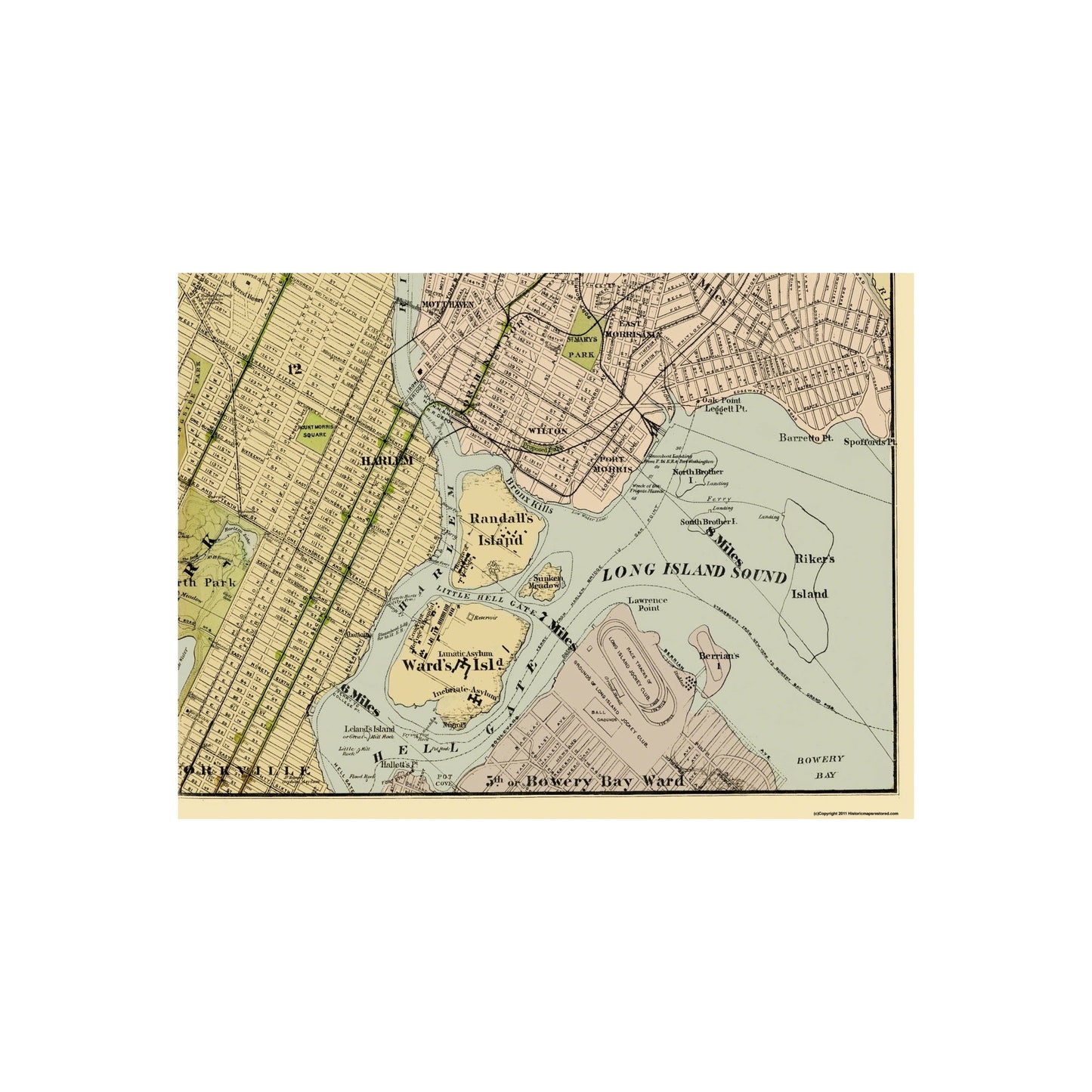 Historic City Map - New York Adjacent Cities New York - Watson 1891 - 31 x 23 - Vintage Wall Art