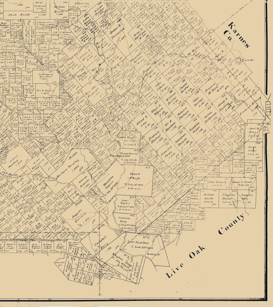 Historic County Map - Atascosa County Texas - Rosenberg 1894 - 23 x 25.90 - Vintage Wall Art