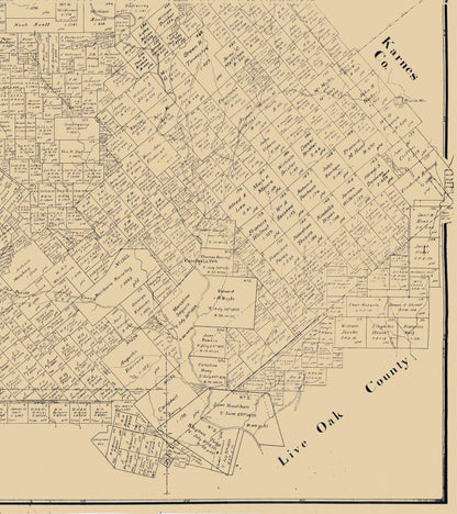 Historic County Map - Atascosa County Texas - Rosenberg 1894 - Vintage Wall Art