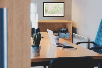 Topographical Map - Austin Texas Quad - USGS 1954 - Vintage Wall Art