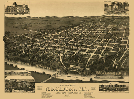Historic Panoramic View - Tuskaloosa Alabama - Wellge 1887 - 23 x 31.03 - Vintage Wall Art