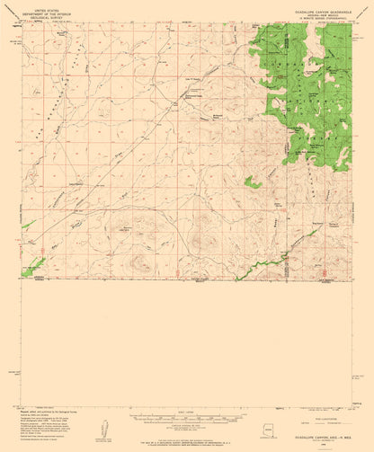 Topographical Map - Guadalupe Canyon Arizona Quad - USGS 1958 - 23 x 27.83 - Vintage Wall Art