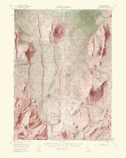 Topographical Map - Bray California Quad - USGS 1963 - 23 x 28.72 - Vintage Wall Art