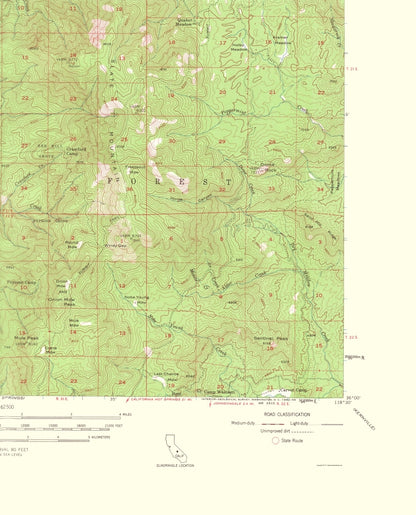 Topographical Map - Camp Nelson California Quad - USGS 1962 - 23 x 28.47 - Vintage Wall Art