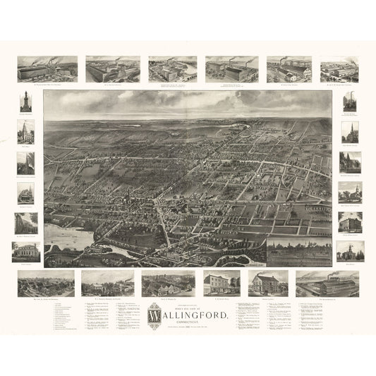 Historic Panoramic View - Wallingford Connecticut - Bailey 1905 - 29.35 x 23 - Vintage Wall Art