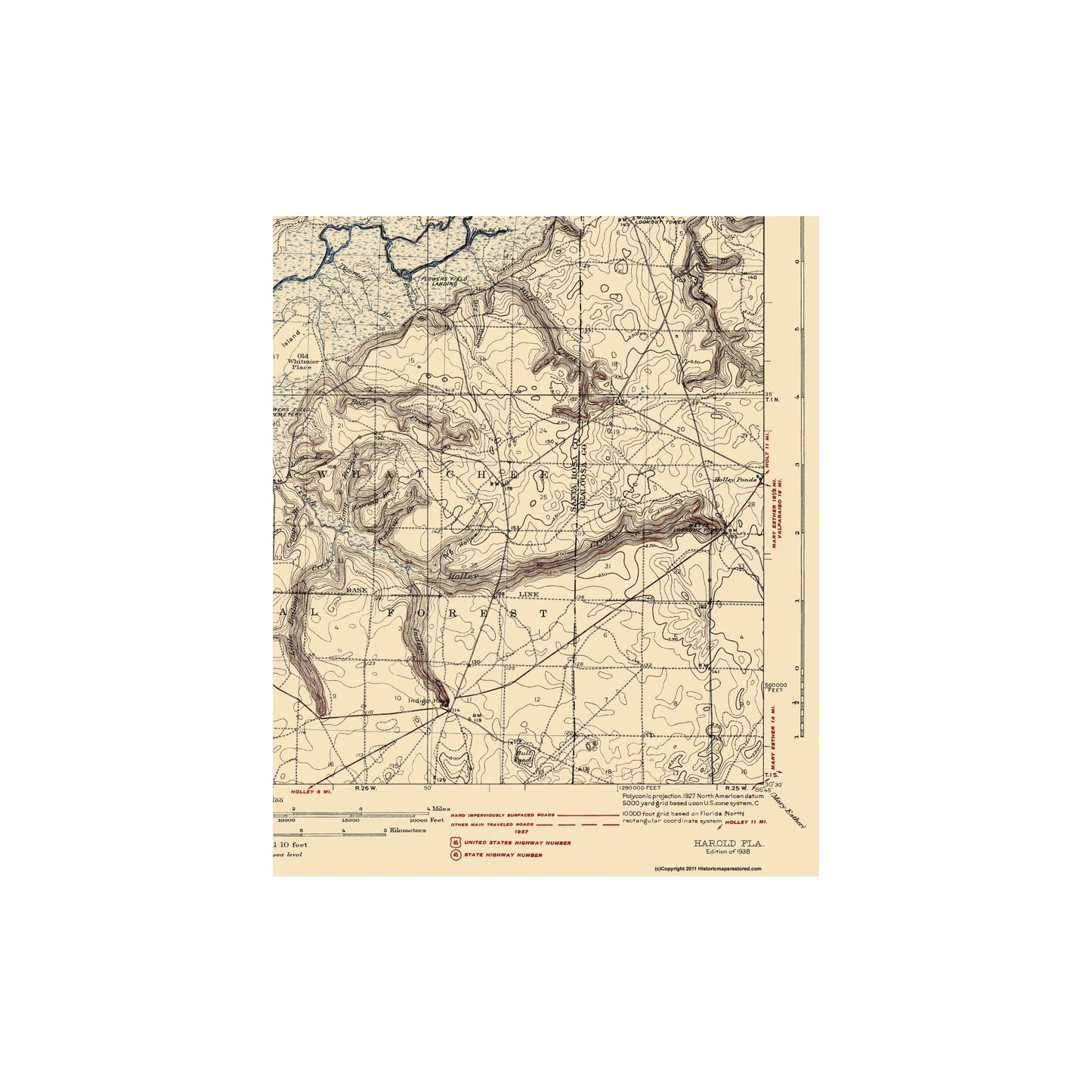 Topographical Map - Harold Florida Quad - USGS 1938 - 23 x 27.81 - Vintage Wall Art