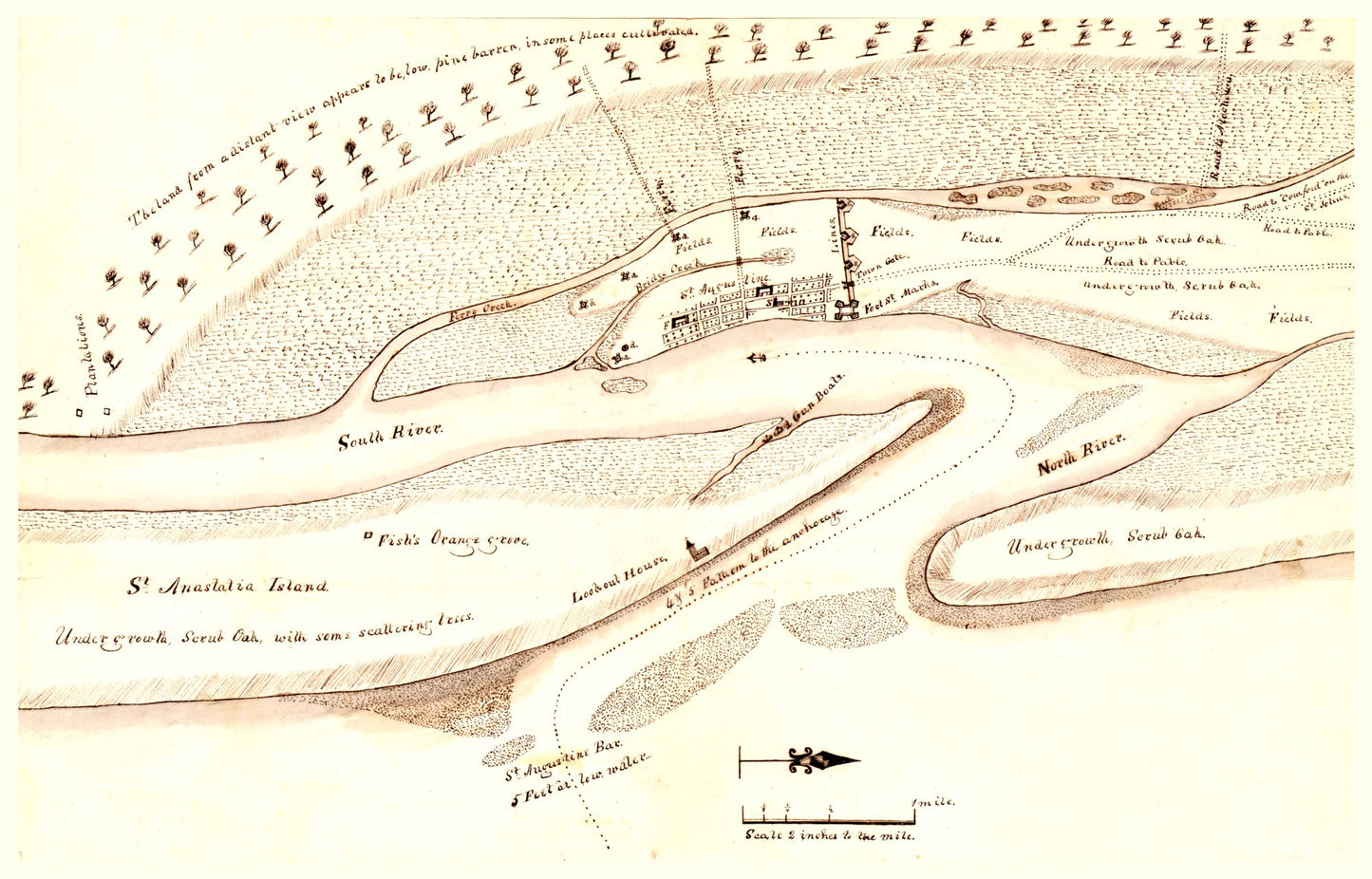 Historic City Map - St Augustine Florida - Birch 1819 - 35.91 x 23 - Vintage Wall Art