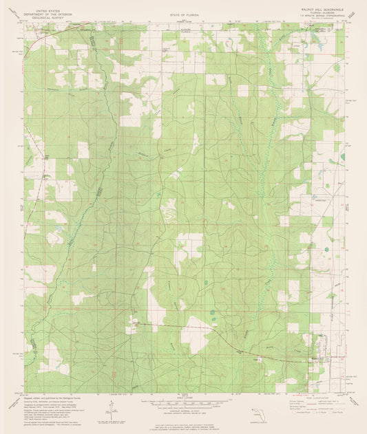 Topographical Map - Walnut Hill Florida Quad - USGS 1978 - 23 x 27.22 - Vintage Wall Art