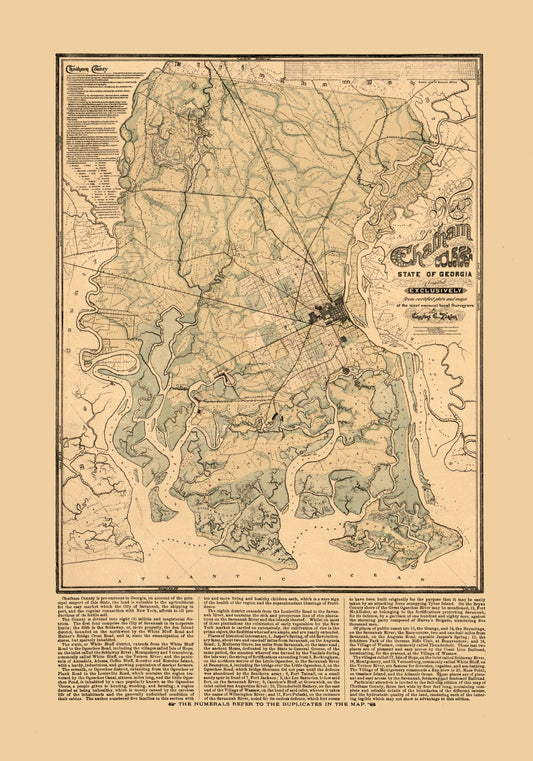 Historic County Map - Chatham County Georgia - Platen 1875 - 23 x 32.86 - Vintage Wall Art