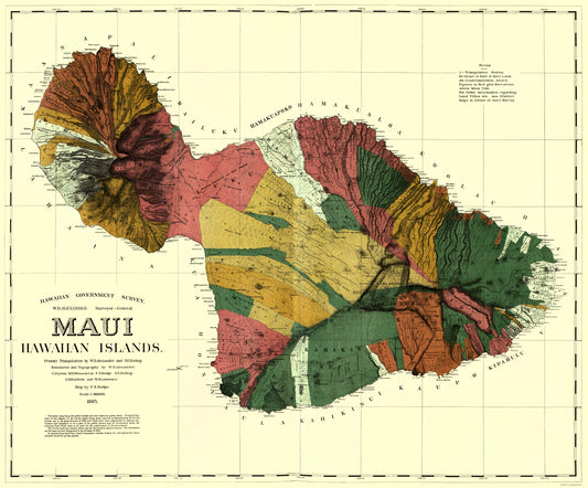 Historic County Map - Maui County  Hawaii - Dodge 1885 - Vintage Wall Art