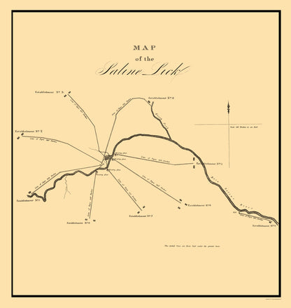 Historic City Map - Saline Lick Illinois - Gayle 1834 - 23 x 24.33 - Vintage Wall Art