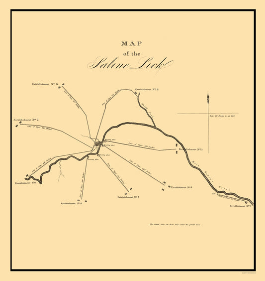 Historic City Map - Saline Lick Illinois - Gayle 1834 - 23 x 24.33 - Vintage Wall Art