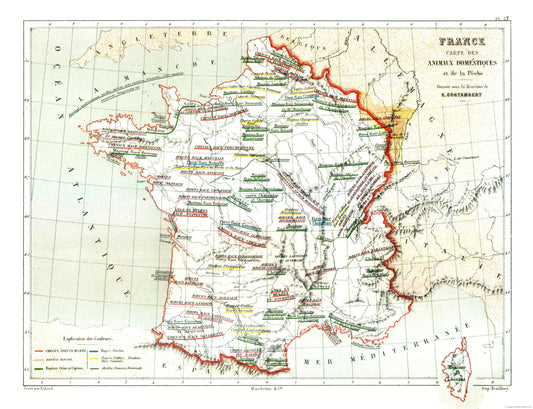 Historic Map - France Domestic Animals - Cortambert 1880 - 29.95 x 23 - Vintage Wall Art