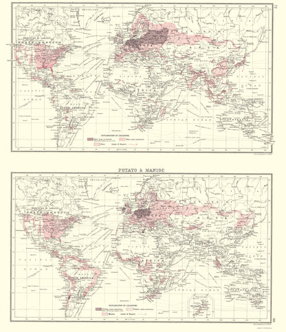 Historic Map - Global Potato Manioc - Bartholomew 1907 - 23 x 26 - Vintage Wall Art
