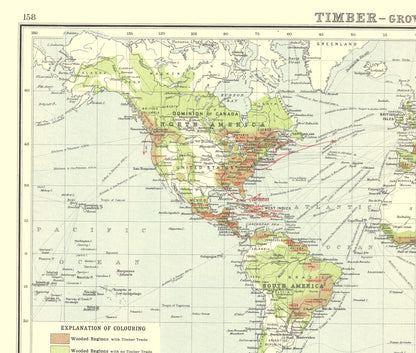 Historic Map - Global Timber Growing Countries - Bartholomew 1907 - 23 x 27.13 - Vintage Wall Art