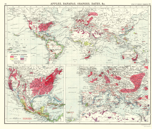 Historic Map - World Apples Bananas Oranges Dates - Newnes 1907 - 23 x 26 - Vintage Wall Art