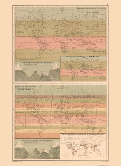 Historic Map - Zoological Chart World - Black 1867 - 23 x 31.50 - Vintage Wall Art