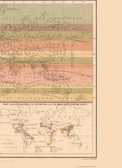 Historic Map - Zoological Chart World - Black 1867 - 23 x 31.50 - Vintage Wall Art