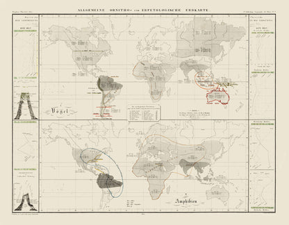 Historic Map - World Herpetological - 1845 - 29.48 x 23 - Vintage Wall Art