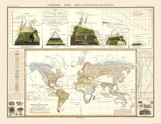 Historic Map - World Plant Geography - Perthes 1838 - 29.79 x 23 - Vintage Wall Art