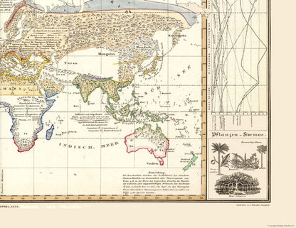 Historic Map - World Plant Geography - Perthes 1838 - 29.79 x 23 - Vintage Wall Art