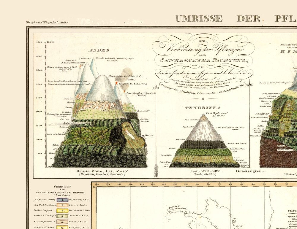 Historic Map - World Plant Geography - Perthes 1838 - 29.79 x 23 - Vintage Wall Art