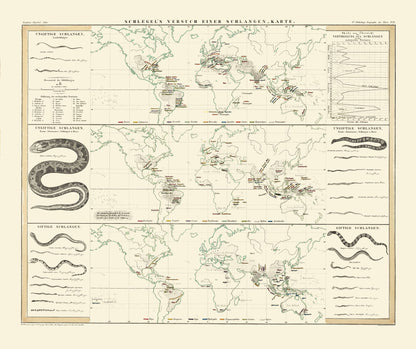 Historic Map - World Snakes - Berghaus - 27.44 x 23 - Vintage Wall Art