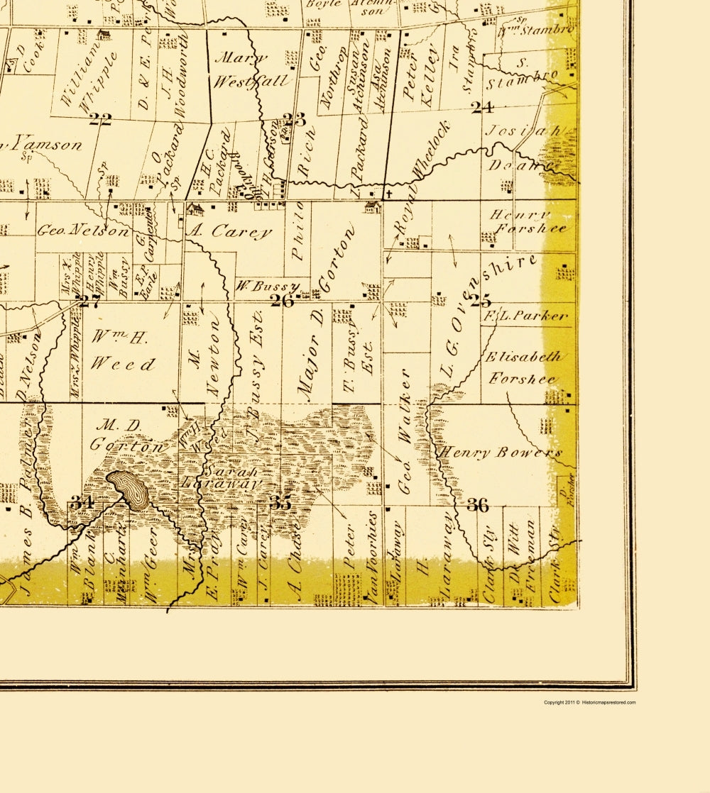 Historic County Map - Salem County Michigan - Everts 1874 - 23 x 25.72 - Vintage Wall Art