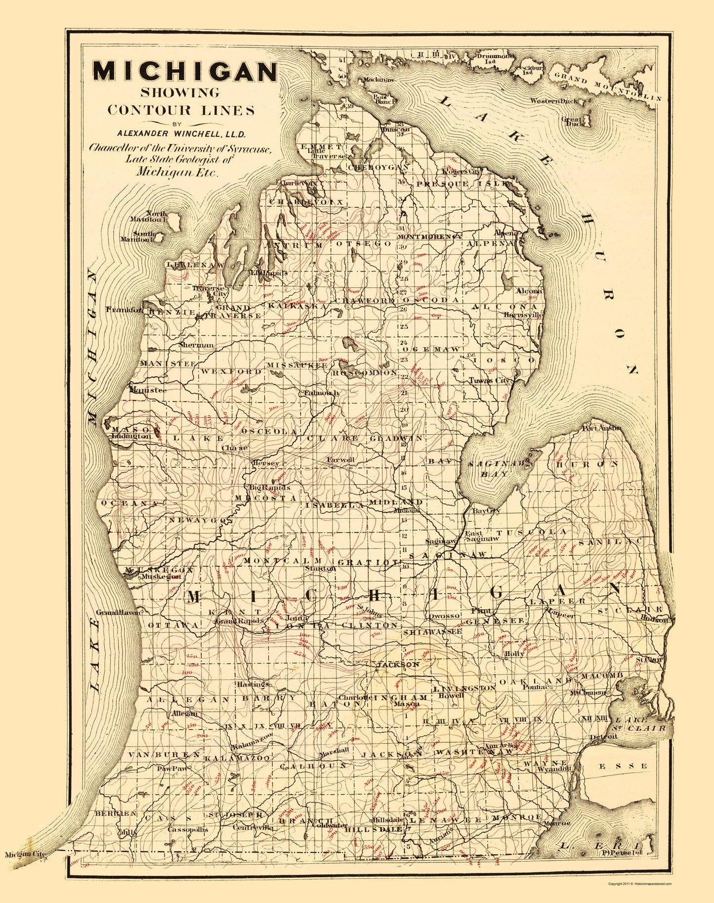 Historic State Map - Michigan Lower Peninsula - Tackabury 1873 - 23 x 29.07 - Vintage Wall Art