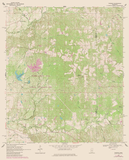 Topographical Map - Pinebur Mississippi Quad - USGS 1969 - 23 x 28.50 - Vintage Wall Art