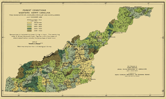 Historic State Map - North Carolina Western Forest Conditions - USFS 1909 - 23 x 38 - Vintage Wall Art