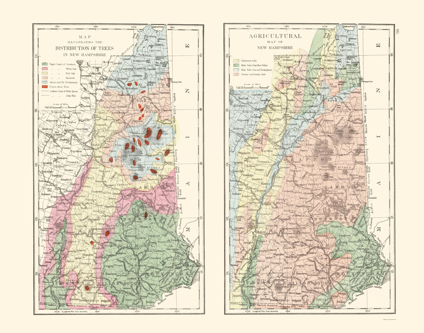 Historic State Map - New Hampshire Agricultural - Hitchcock 1877 - 23 x 29.29 - Vintage Wall Art