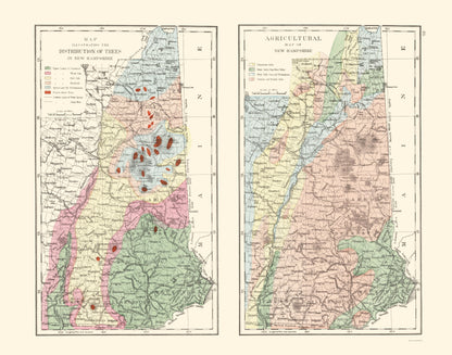 Historic State Map - New Hampshire Agricultural - Hitchcock 1877 - 23 x 29.29 - Vintage Wall Art