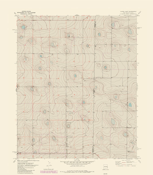 Topographical Map - East Causey New Mexico Quad - USGS 1970 - 23 x 26.24 - Vintage Wall Art