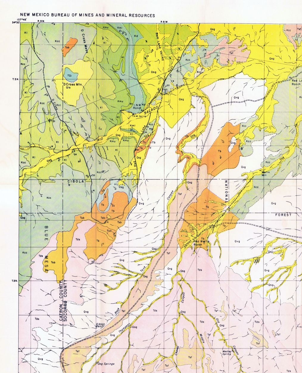 Historic Mine Map - Dog Springs Quad New Mexico Mines - Givens 1952 - 23 x 28.34 - Vintage Wall Art