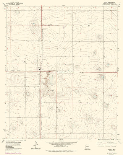 Topographical Map - Dora New Mexico Quad - USGS 1972 - 23 x 29.02 - Vintage Wall Art