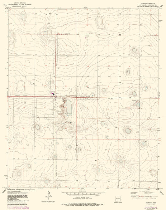 Topographical Map - Dora New Mexico Quad - USGS 1972 - 23 x 29.02 - Vintage Wall Art