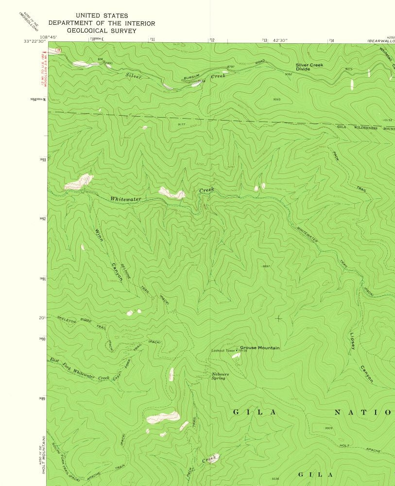 Topographical Map - Grouse Mountain New Mexico Quad - USGS 1965 - 23 x 28.27 - Vintage Wall Art