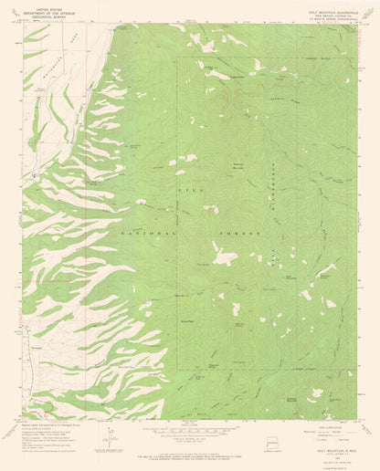 Topographical Map - Holt Mountain New Mexico Quad - USGS 1965 - 23 x 28.56 - Vintage Wall Art