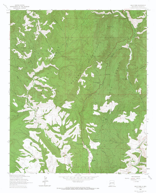 Topographical Map - Salize Pass New Mexico Quad - USGS 1963 - 23 x 28.43 - Vintage Wall Art