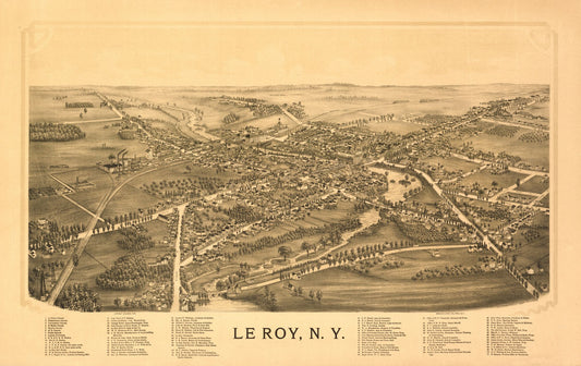 Historic Panoramic View - Le Roy New York - Burleigh 1892 - 36.46 x 23 - Vintage Wall Art