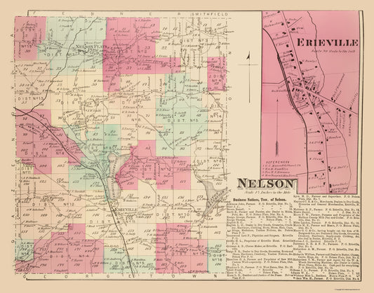 Historic City Map - Nelson New York - Whitman 1875 - 23 x 29.32 - Vintage Wall Art