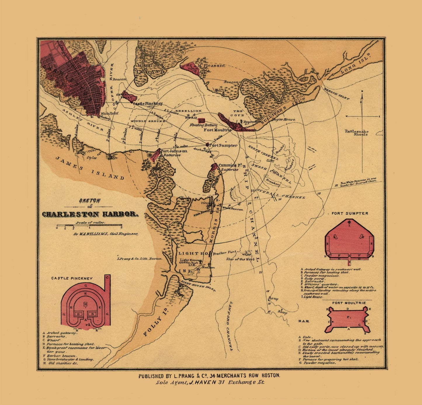 Historic City Map - Charles Town South Carolina - Williams 1860 - 23.94 x 23 - Vintage Wall Art