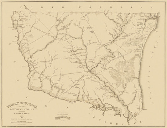 Historic County Map - Horry County South Carolina - Mills 1825 - 30 x 23 - Vintage Wall Art