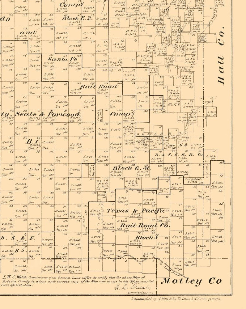 Historic County Map - Briscoe County Texas - Walsh 1879 - 23 x 28.88 - Vintage Wall Art