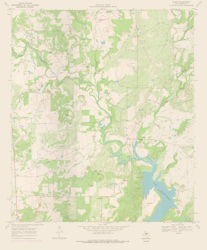 Topographical Map - Byrds Texas Quad - USGS 1969 - 23 x 27.84 - Vintage Wall Art