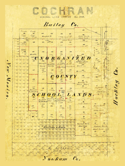 Historic County Map - Cochran County Texas - 1884 - 23 x 30.72 - Vintage Wall Art