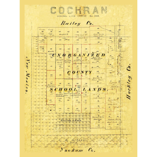 Historic County Map - Cochran County Texas - 1884 - 23 x 30.72 - Vintage Wall Art